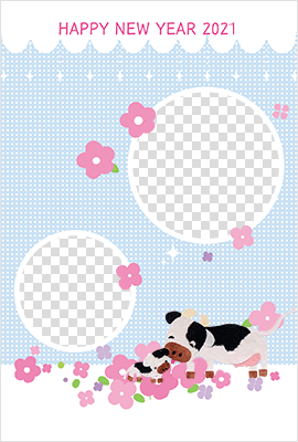 可愛らしい子竜がお眠りしているイラスト入り写真テンプレート